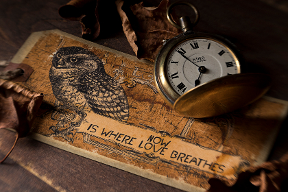 迎接鸿运：改变心态，创造美好未来的策略