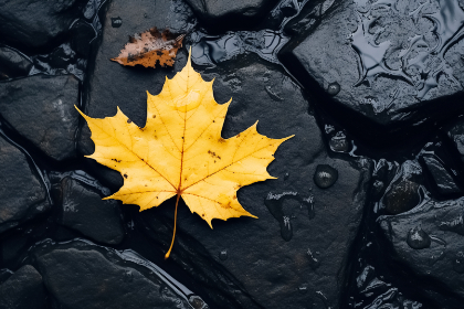 辉煌国际的未来愿景:科技与创新引领行业变革 辉煌国际的未来愿景:科技与创新引领行业变革