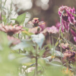 《武林风》热血直播今晚震撼开打,巅峰对决不容错过! 8o8iz7