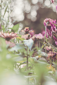 《武林风》热血直播今晚震撼开打,巅峰对决不容错过! 《武林风》热血直播今晚震撼开打,巅峰对决不容错过!