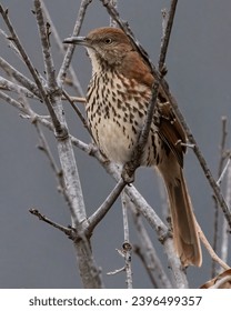 《湖南卫视璀璨人生》温情励志直播精彩呈现 《湖南卫视璀璨人生》温情励志直播精彩呈现